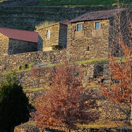 Cardenha Do Douro Villa Mesão Frio Szoba fotó