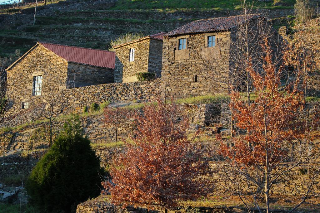 Cardenha Do Douro Villa Mesão Frio Szoba fotó